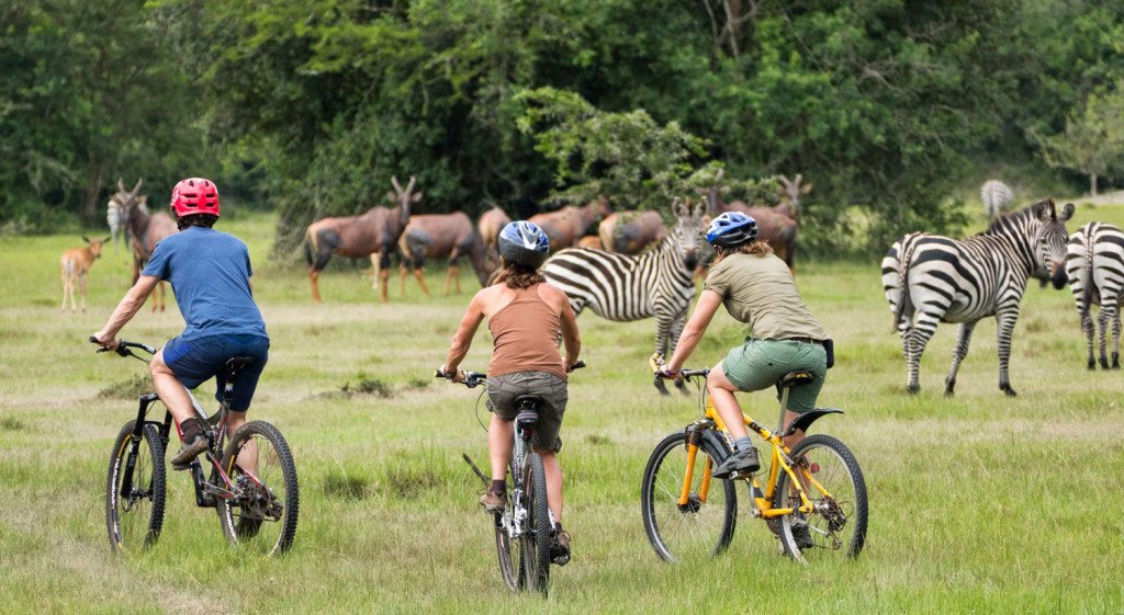 safaris in uganda from Rwanda