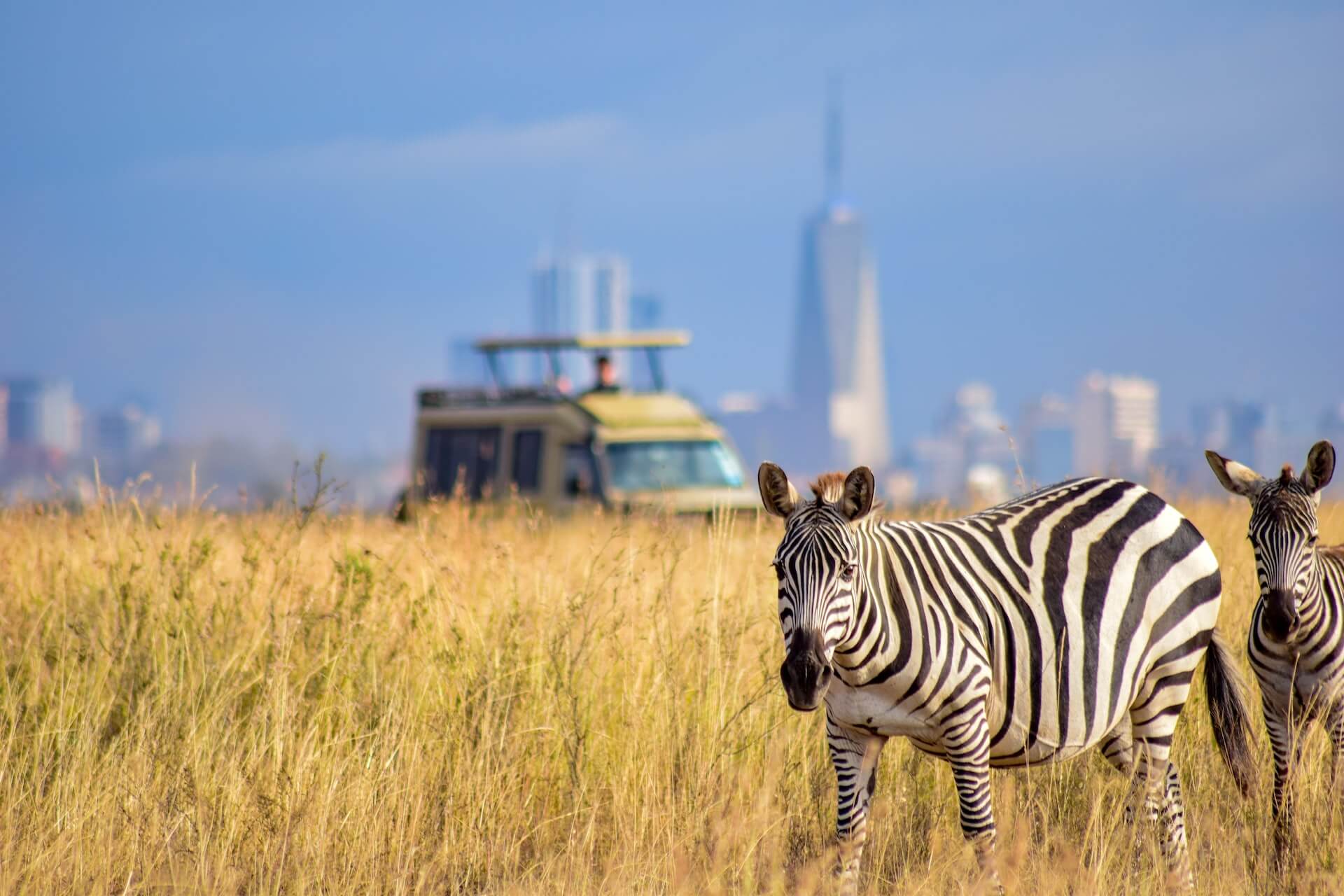 nairobi national park, nairobi activities, visit nairobi national park, nairobi national park accommodations, nairobi national park entrance fee, nairobi national park photos, nairobi national park reviews, nairobi national park price