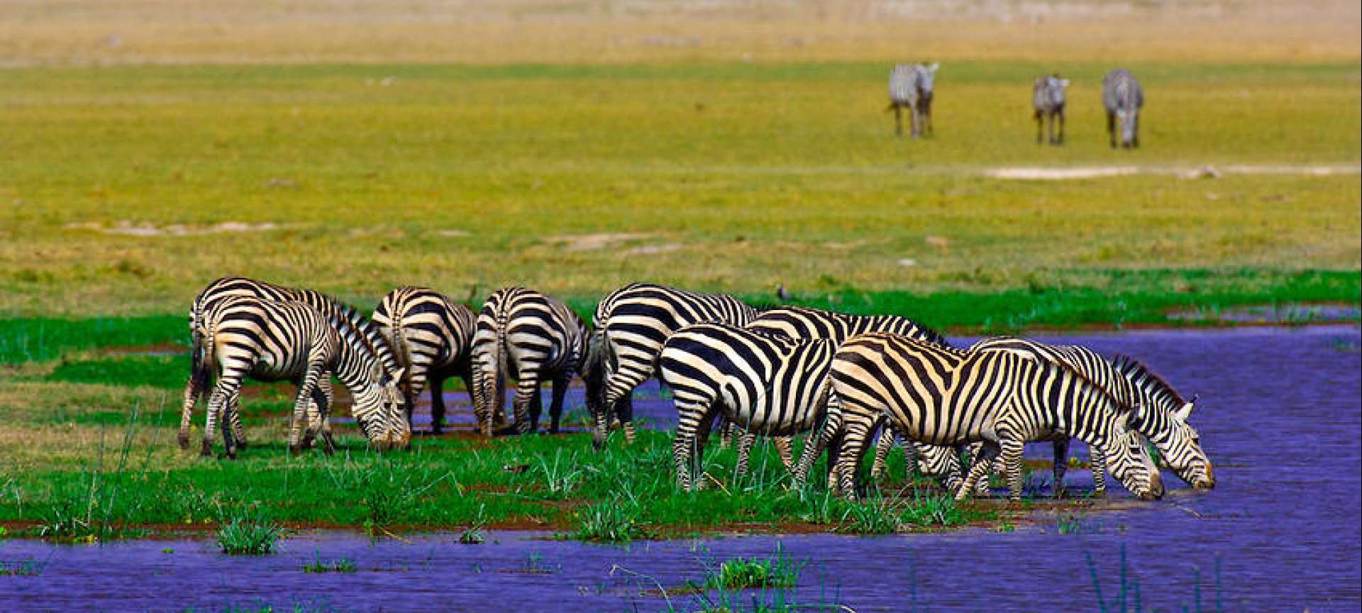 Amboseli National Park