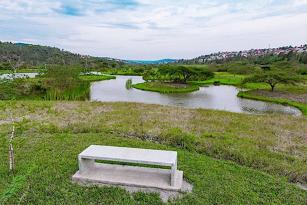 Nyandungu Urban Wetland Eco-tourism Park