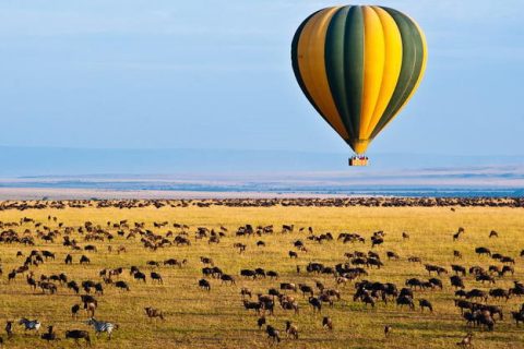 East Africa Safaris, east africa tours, east african tours, east african safaris, safaris in east africa, rwanda safaris, uganda safaris, kenya safaris, tanzania safaris