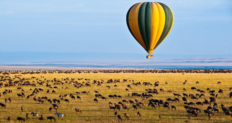 the great migration, the great migration in tanzania, the great migration in kenya, great migration in maasai mara, great migration in serengeti, the great migration tanzania, the great migration kenya, Best Tour Operator in East Africa