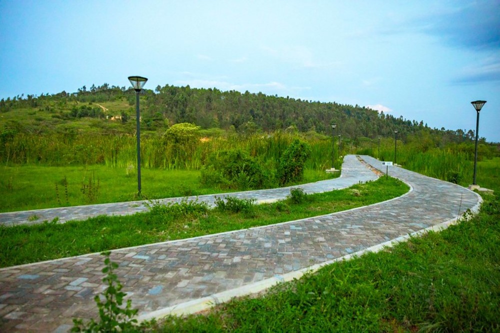 Nyandungu Urban Wetland Eco-tourism Park