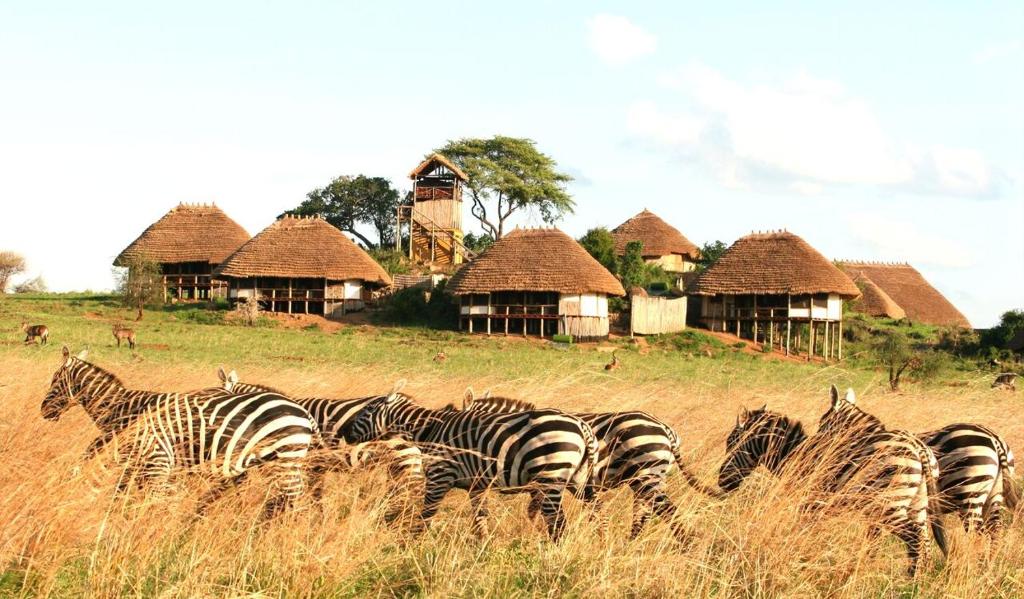 safaris in uganda from Rwanda