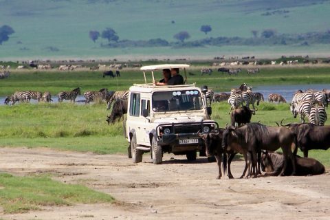 Serengeti National Park