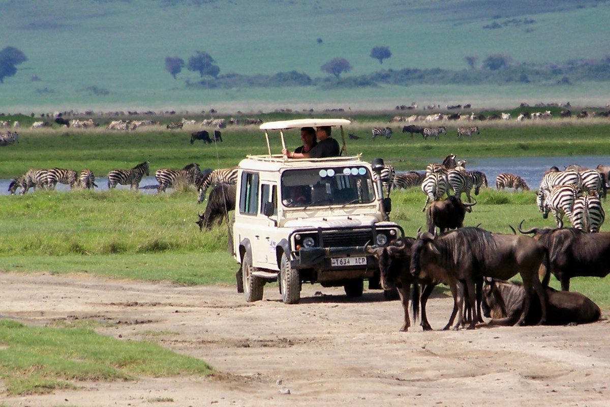 Serengeti National Park, the great migration, the great migration in tanzania, the great migration in kenya, great migration in maasai mara, great migration in serengeti, the great migration tanzania, the great migration kenya