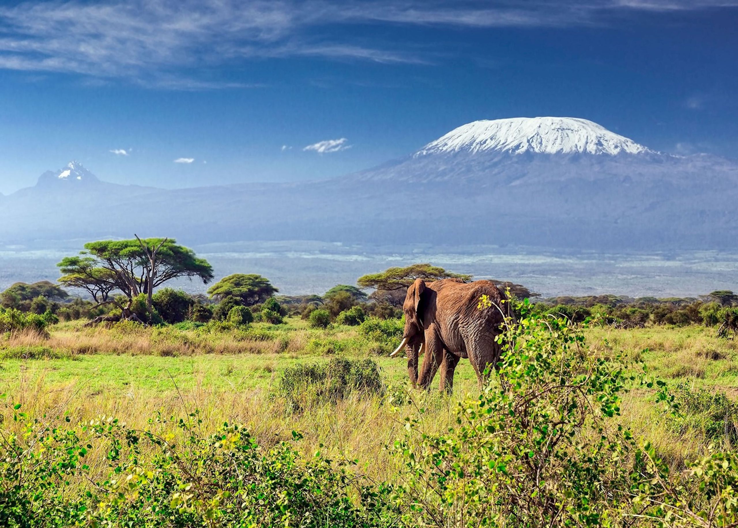 mount kilimanjaro, kilimanjaro summit, mount kilimanjaro tanzania, mount kilimanjaro best time to visit, mount kilimanjaro reviews, mount kilimanjaro photos, hiking mount kilimanjaro, mount kilimanjaro price, Amboseli National Park