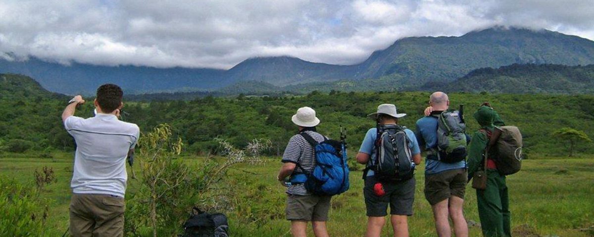 arusha national park, arusha park tanzania, attractions in arusha national park, arusha national park photos, arusha national park reviews, arusha park tours, arusha tour packages, arusha flamingos, accommodations in arusha national parks, animals in arusha national parks, big five in arusha