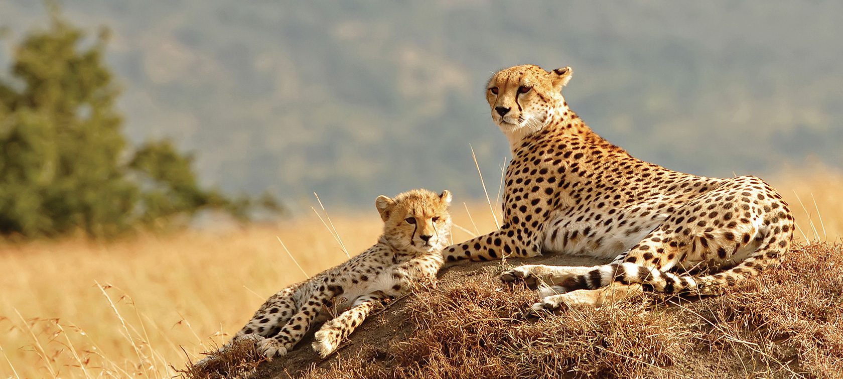 Kidepo Valley National Park