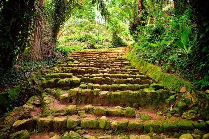 Entebbe Botanic Gardens