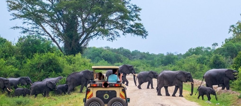 Uganda Travel Guide 2026