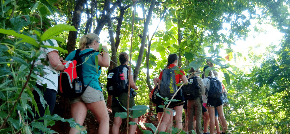 udzungwa national park, udzungwa mountains national park, udzungwa mountains, udzungwa