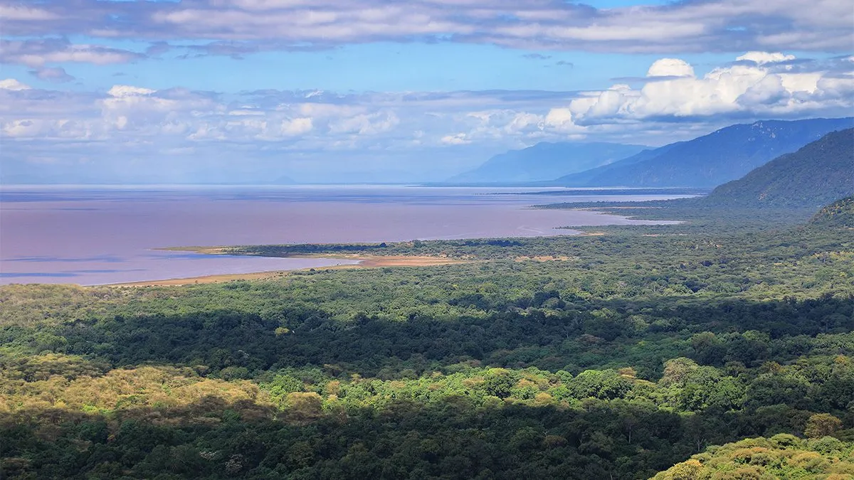 lake manyara, lake manyara national park, lake manyara national park photos, lake manyara reviews, lake manyara tour packages, lake manyara national park animals, lake manayara safaris,