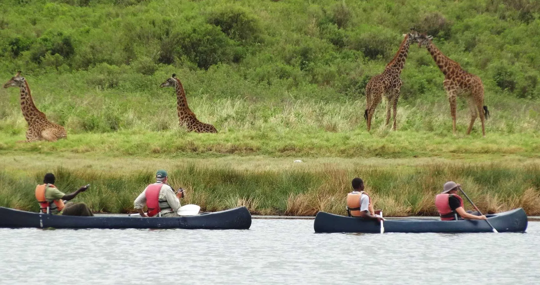 arusha national park, arusha park tanzania, attractions in arusha national park, arusha national park photos, arusha national park reviews, arusha park tours, arusha tour packages, arusha flamingos, accommodations in arusha national parks, animals in arusha national parks, big five in arusha