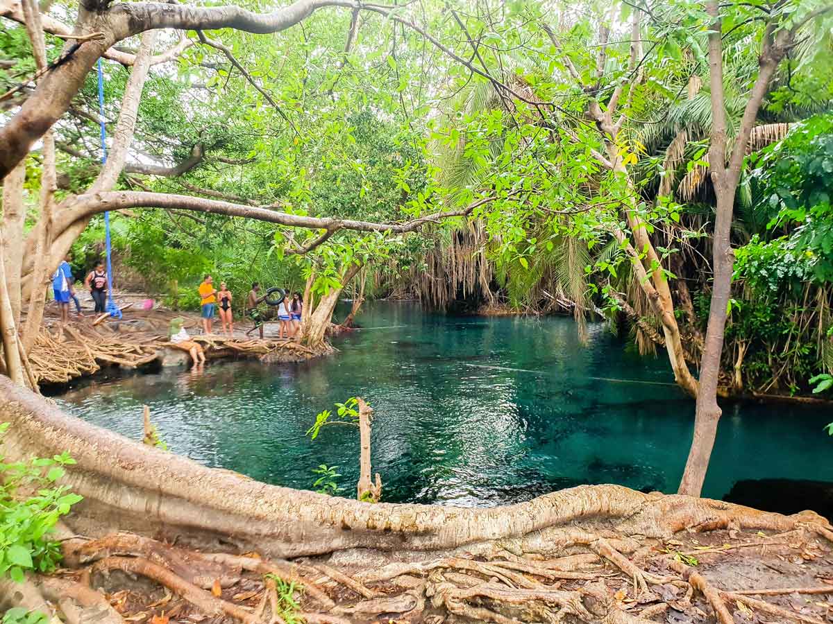 kikuletwa hot springs, kikuletwa hotsprings, kikuletwa waters, swimming at Kikuletwa hot springs