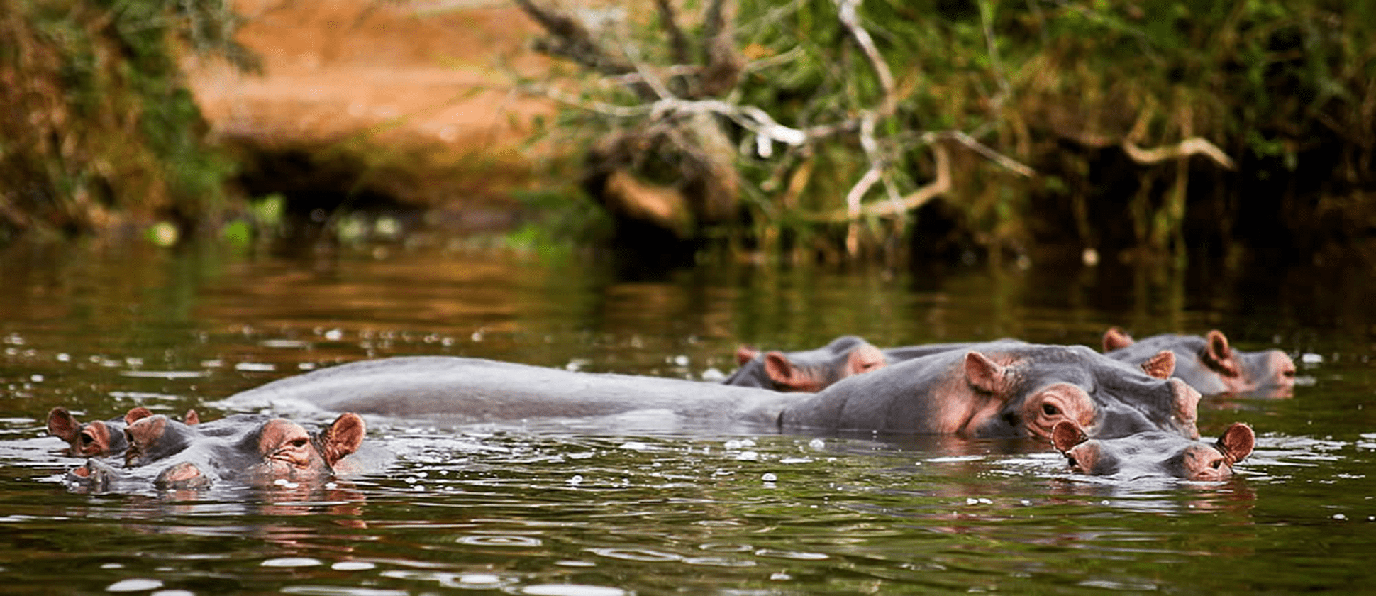 Lake Mburo National Park, lake mburo uganda, lake mburo