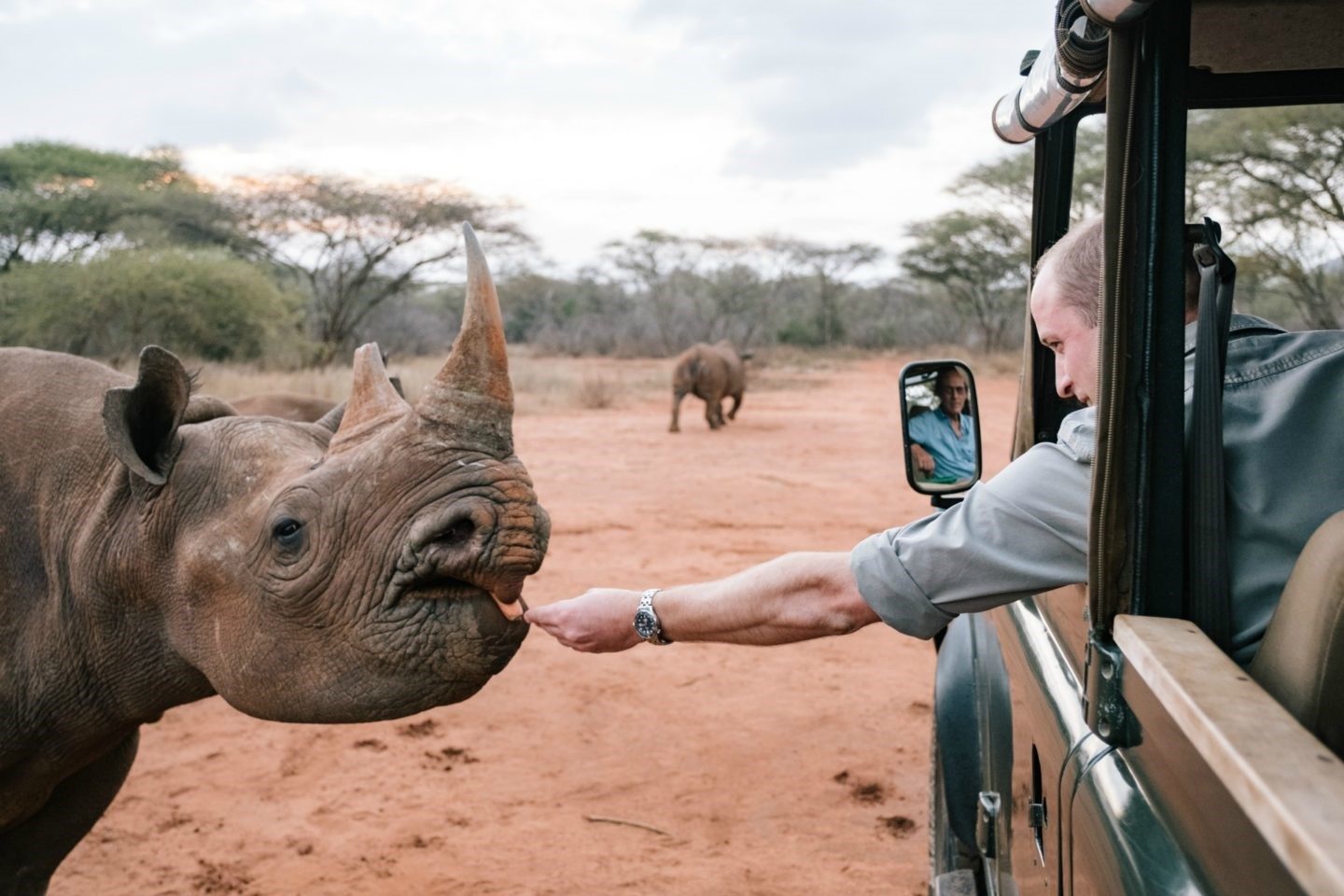 mkomazi national park, mkomazi national park map, mkomazi national park location, mkomazi national park location, mkomazi national park entrance fee, mkomazi national park fees, mkomazi national park lodges