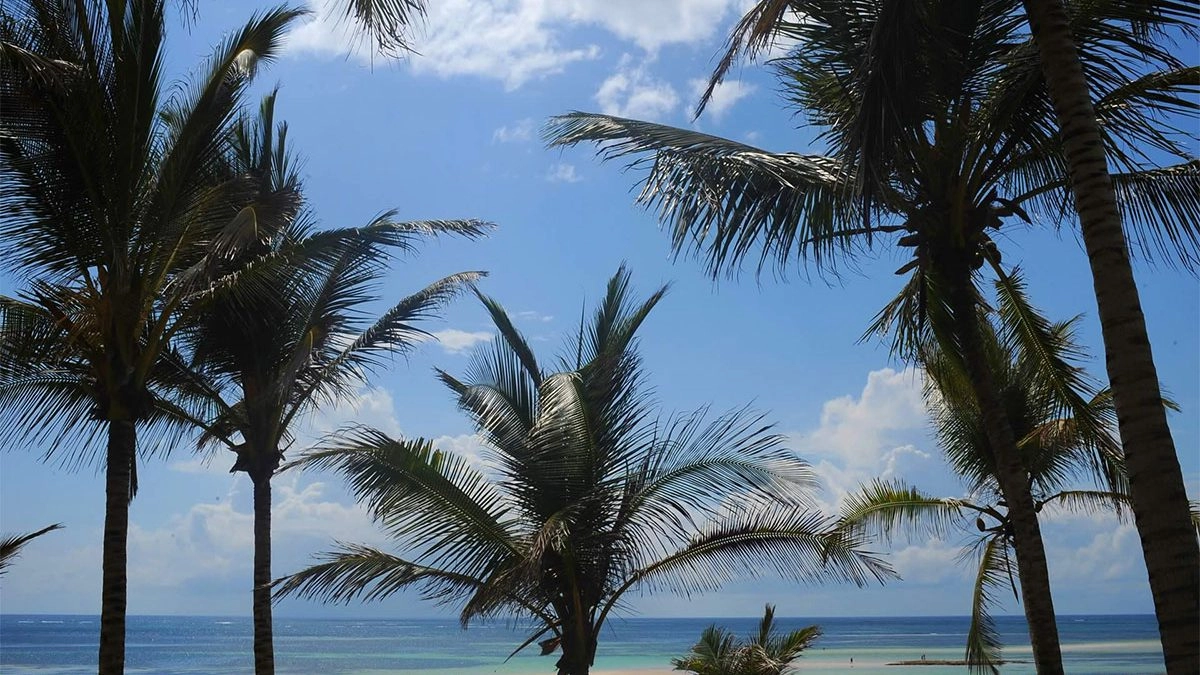 mombasa marine reserve, mombasa watersport