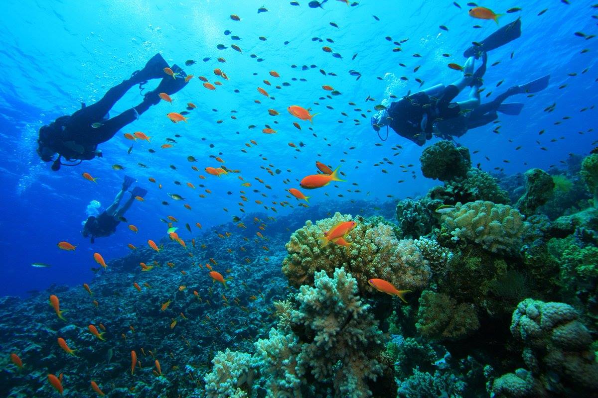 mombasa marine reserve, mombasa watersport