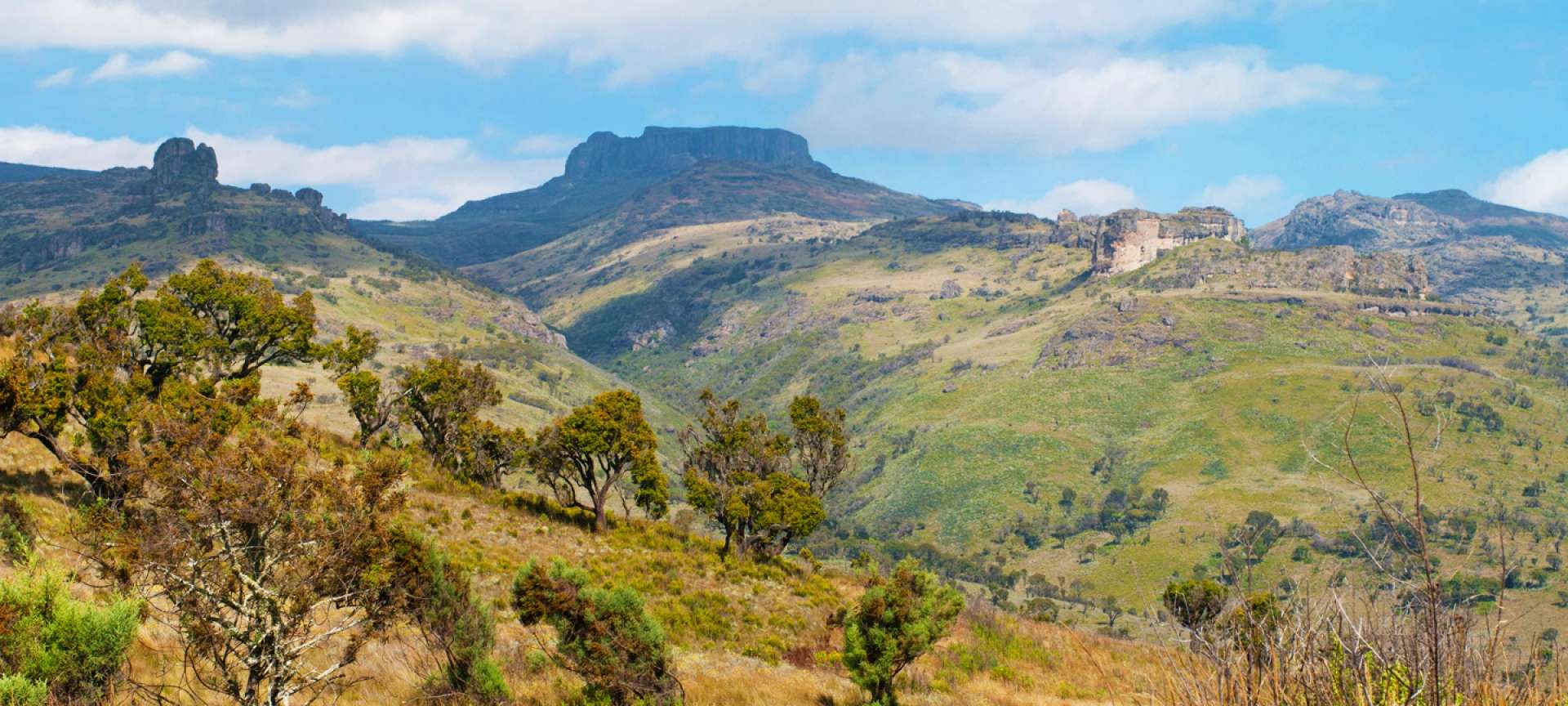 Uganda Travel Guide 2026