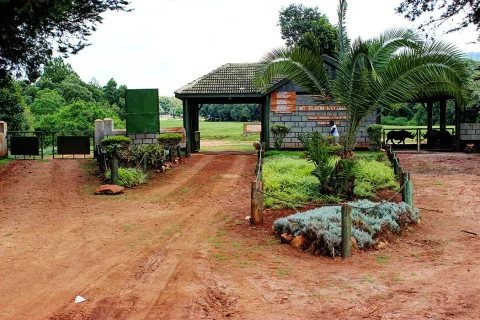 mount elgon national park