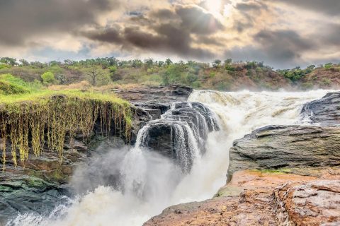 murchison falls national park, national park in uganda, uganda national parks, game drives in murchison national park, birdwatching in murchison national park, boat rides in murchison, boat safari in murchison national park, safari trip to murchison falls national park, East Africa Safaris, east africa tours, east african tours, east african safaris, safaris in east africa, rwanda safaris, uganda safaris, kenya safaris, tanzania safaris