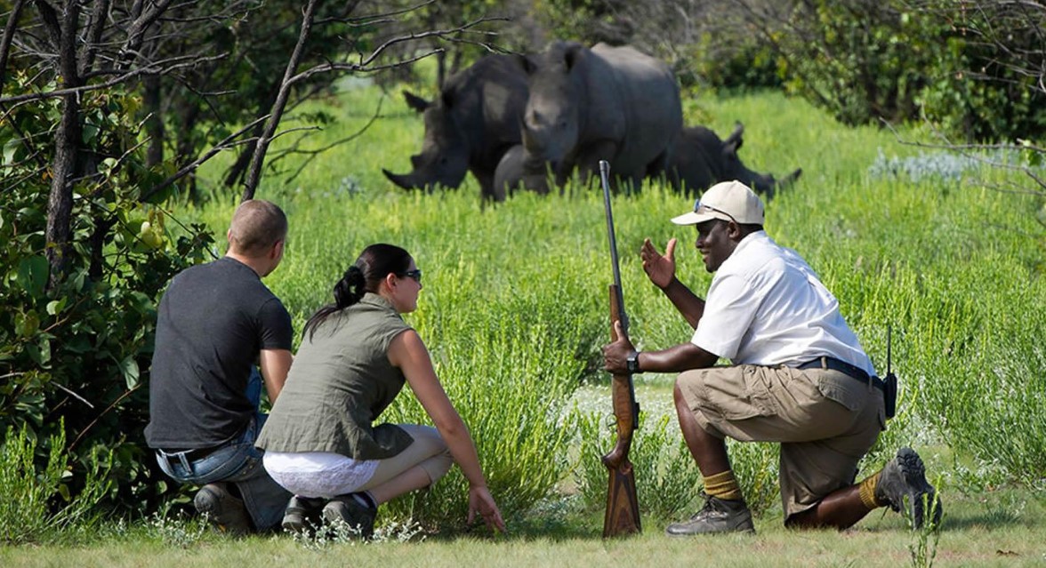 ziwa rhino lodge, ziwa rhino, ziwa rhino sanctuary, ziwa rhino uganda, ziwa rhino sanctuary uganda, ziwa rhino sanctuary in uganda