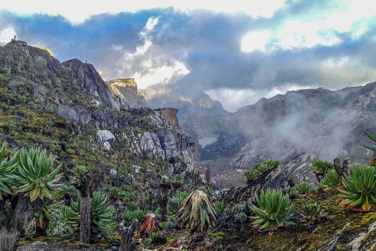 rwenzori mountains national park, rwenzori mountains