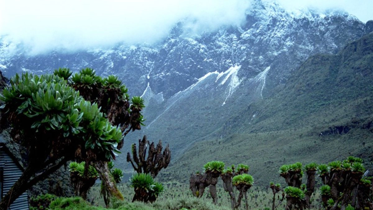 rwenzori mountains national park, rwenzori mountains