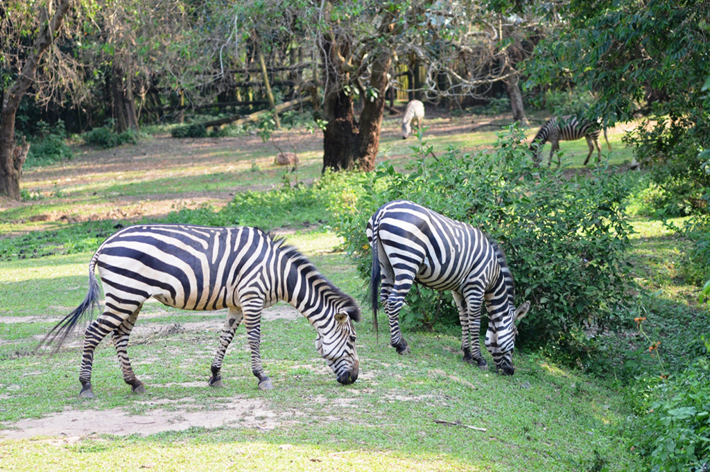 Uganda Wildlife Conservation Education Centre