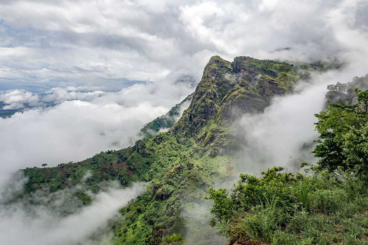 usambara mountains, the usambara mountains, east usambara mountains, west usambara mountains, tanzania usambara mountains, usambara mountains tanzania