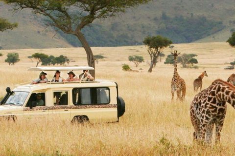 Serengeti National Park