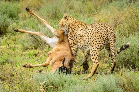 Serengeti National Park