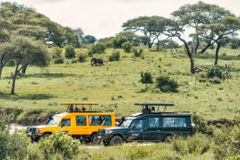 Serengeti National Park, safaris in tanzania from rwanda