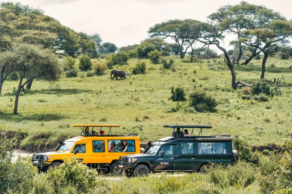 Serengeti National Park, safaris in tanzania from rwanda