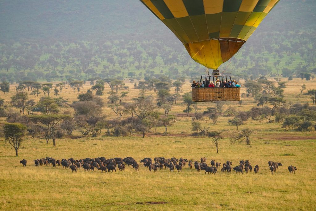 seronera valley, seronera valley in tanzania, seronera valley in serengeti national park, Seronera Valley in Central Serengeti, The Seronera Valley in Central Serengeti, Seronera Valley in Central Serengeti Tanzania, seronera