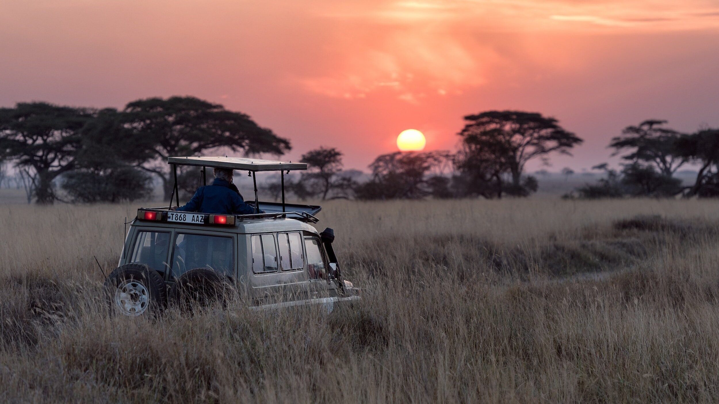 Serengeti National Park, Amboseli National Park