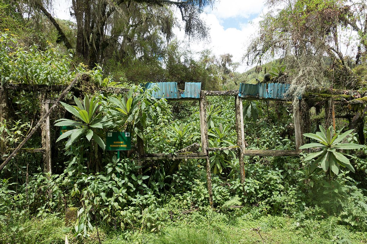 karisoke research center