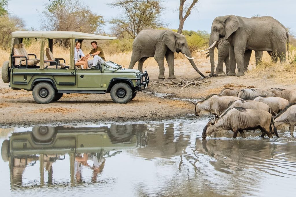 Rwanda Car Hire for Safari – Complete Guide