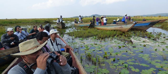 Mabamba Swamps in Uganda