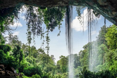 mount elgon national park