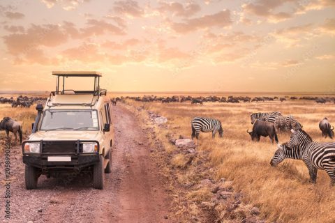 ngorongoro national park, ngorongoro conservation area, ngorongoro crater