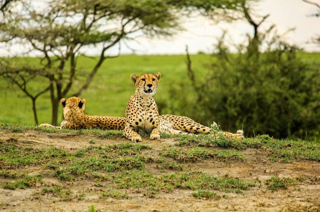 Serengeti National Park