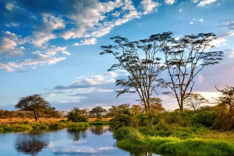 Serengeti National Park