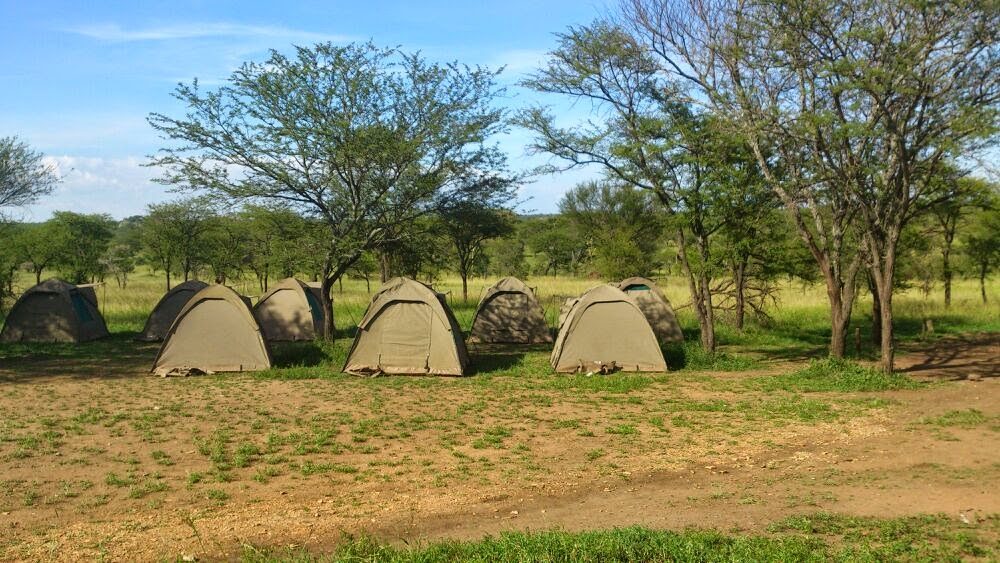 seronera valley, seronera valley in tanzania, seronera valley in serengeti national park, Seronera Valley in Central Serengeti, The Seronera Valley in Central Serengeti, Seronera Valley in Central Serengeti Tanzania, seronera