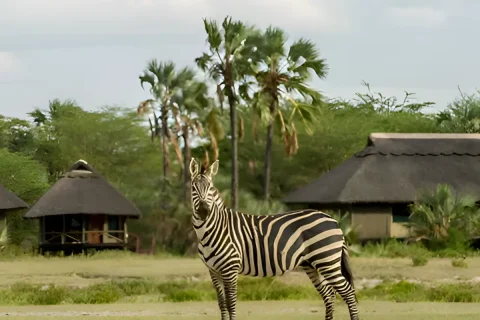 Serengeti National Park