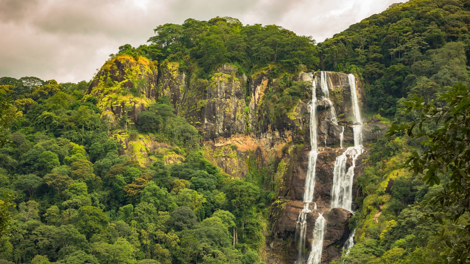 udzungwa national park, udzungwa mountains national park, udzungwa mountains, udzungwa