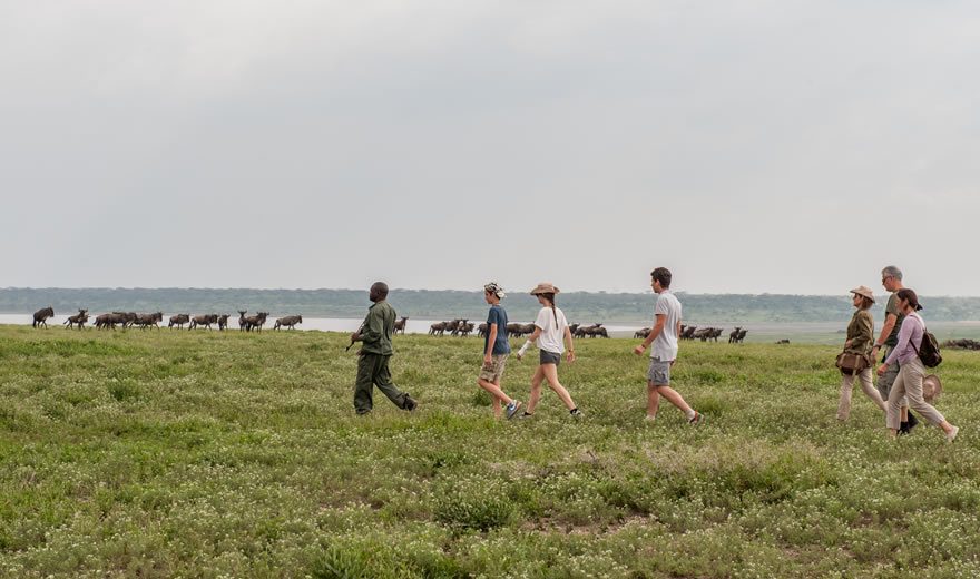 lake manyara, lake manyara national park, lake manyara national park photos, lake manyara reviews, lake manyara tour packages, lake manyara national park animals, lake manayara safaris,