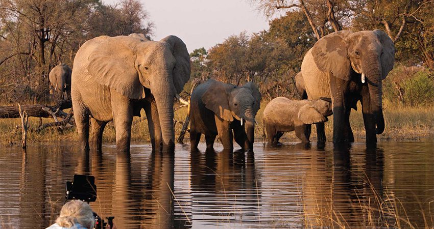 Marsabit National Park, mount marsabit