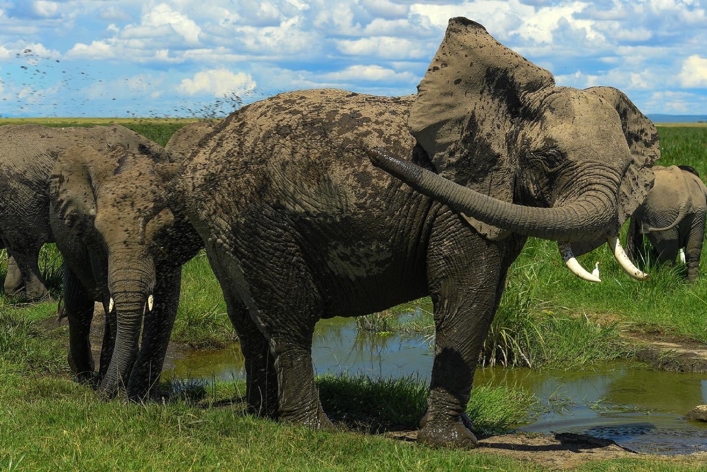 Marsabit National Park, mount marsabit